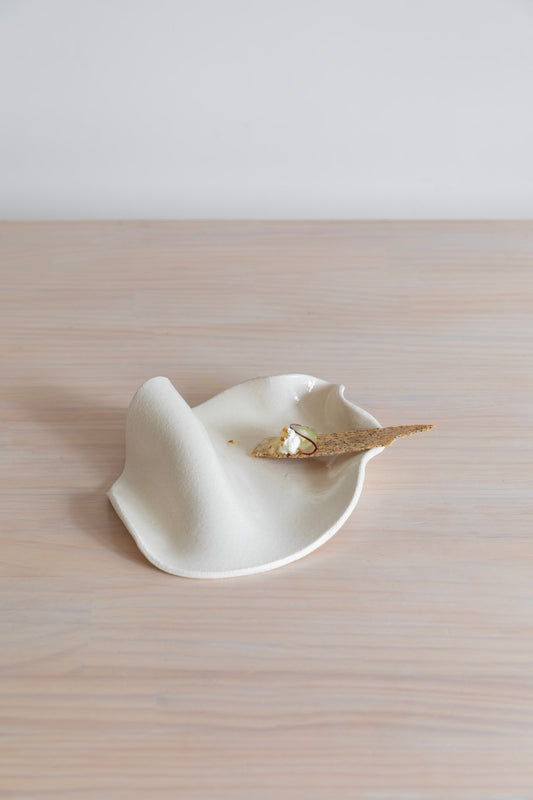 Mini Wave Dish