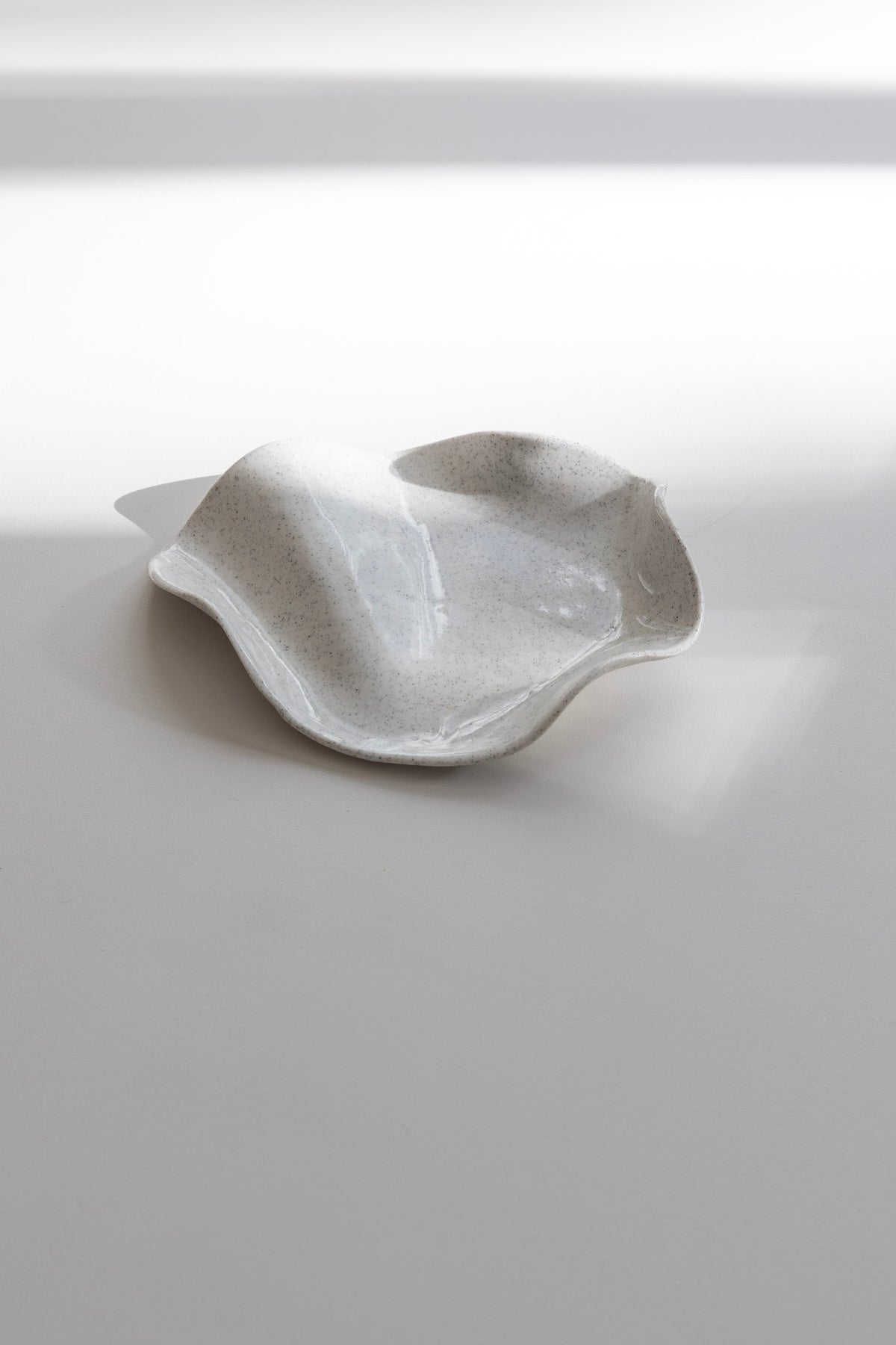Mini Wave Dish