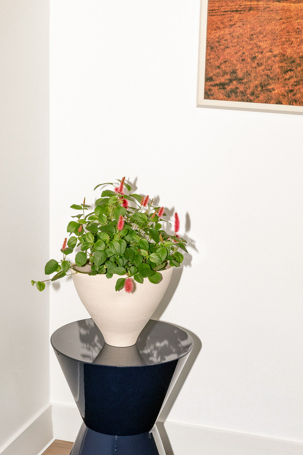 Coastal Marlowe Vase