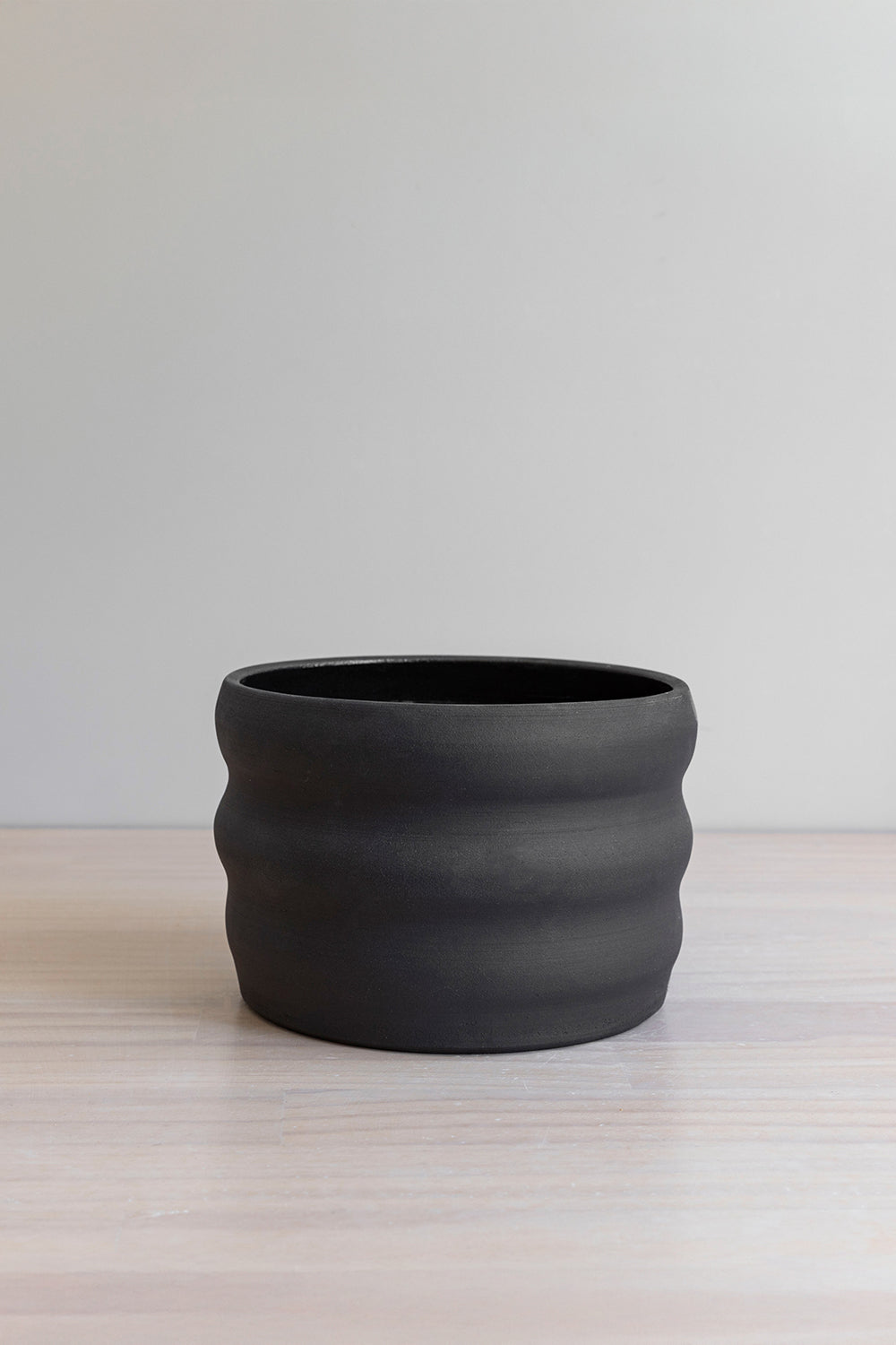 West Coast Short Poppy